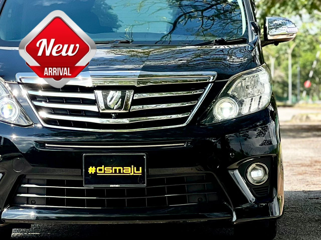 Toyota Alphard 240S Type Gold