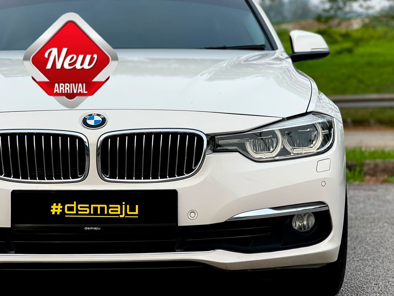 BMW F30 318i Luxury Line
