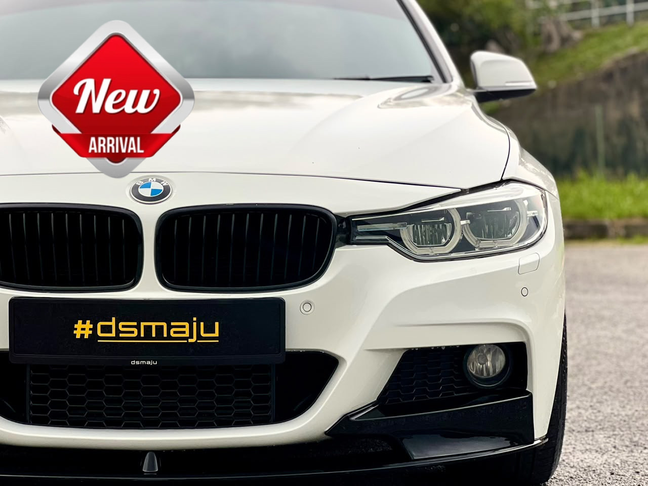 BMW F30 318i Luxury Line